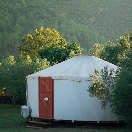 Отель Yol Glamping Кайакёй Экстерьер фото